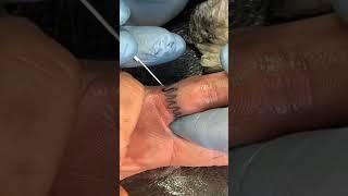 At home finger poke  #stickandpoke #tattoo #tattooart #tattooartist #tattooed #handpoke