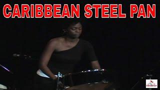 Relaxing Caribbean Steel Drum Tropical Music by Panist Joy Lapps