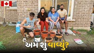 Backyard માં શેની વાવણી કરી? Gardening Day in Canada