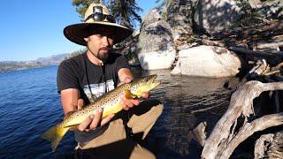 Camping ALONE with New Hammock - BIG Brown Trout!