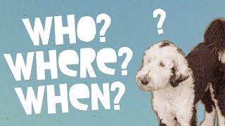 Bunny Gets Questioned | Bunny The "Talking" Dog