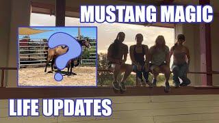 New Mustang Magic Horse + Life Updates