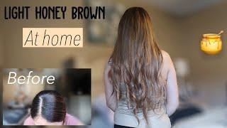 How to: Light Honey Brown Hair  