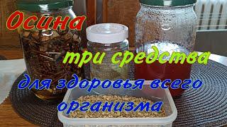 Три лучших средства с осины, для здоровья всего организма. Как сделать настойку, порошок и отвар.