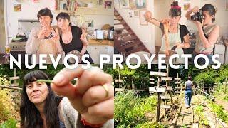 Nuevos Proyectos | Cocina, huerta, amistad y Pollitos