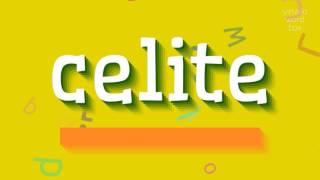 How to say "celite"! (High Quality Voices)