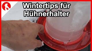 Wintertips für Hühner und Halter / feuchter Stall / Federpicken F203 -  Jensman and the Huhns