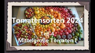 Tomatensorten 2024 Teil 4 - Mittelgroße Tomaten I