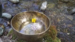 3시간 숲속 계곡 싱잉볼 중음부F(힐링,치유,명상)3hours for Singingbowl into the Forest-meditation,yoga,chakra,zen