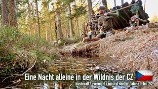 Eine Nacht alleine in der Wildnis der CZ - bushcraft / overnight / natural shelter / alone  "Doku"