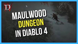 Diablo 4 - Nightmare Rogue Gameplay at Maulwood Dungeon