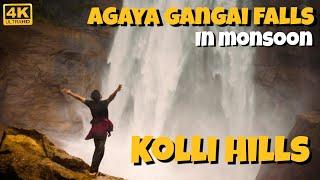 Kolli Hills | Agaya Gangai falls in Monsoon | Coffee Plantation in Kolli Hills | Ep- 2