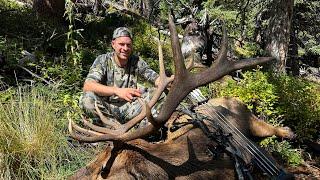 Before The Wolf!!! Colorado Archery Elk Hunt - Stuck N The Rut 194