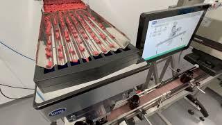 Complete Automatic Tablet & Capsule Packing Line Featuring King Tablet Counter