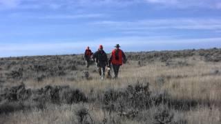 Western Hunts 2011 - Vance Video Productions