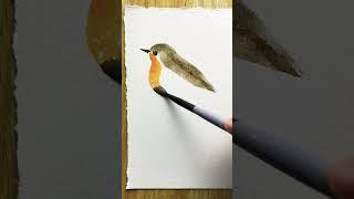 Robin #bird #watercolor #beginner #artist