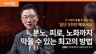 건강한 호르몬을 만드는 6가지 원칙 | 안철우 연세대학교 내분비내과 교수 w/ 구범준 PD | #건강 #저속노화 | 세바시나머지45 ep.70