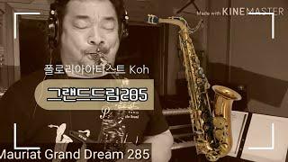 What a Wonderful 폴로리아 아티스트 Koh Mr.Saxman (그랜드 드림285)