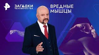 Вредные мышцы — Загадки человечества (06.11.2024)