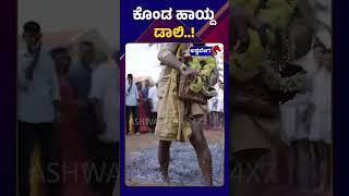 Dally Dhananjay Marriage || ಕೊಂಡ ಹಾಯ್ದ ಡಾಲಿ | @ashwaveeganews24x7