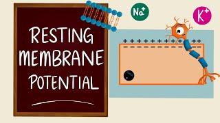 Resting Membrane Potential | Membrane Potential | RMP | Nerve Muscle Physiology