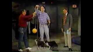 David Letterman Show - Stupid Pet Tricks
