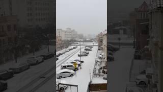 Last snow of 2024 on Christmas Day,NYC#shortsvideo #shortvideo #shorts #short #snow #christmas #nyc