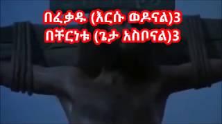 Bethelehem Wolde   Befekadu Ersu Wedonal   በፈቃዱ እርሱ ወዶናል