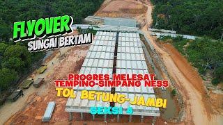 Betung Jambi Toll Road Section 4, Significant Progress on the Bertam River Flyover, Jambi Rengat