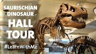 Tour the Hall of Saurischian Dinosaurs  at the American Museum of Natural History!