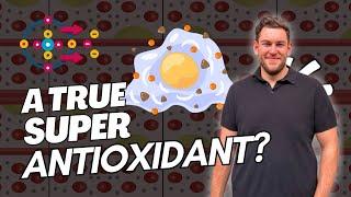 Where did the BEST ANTIOXIDANT come from?