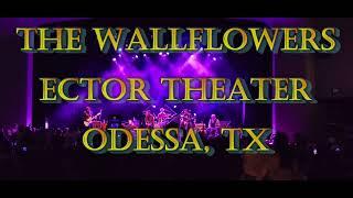 The Wallflowers @TheEctorTheatre Odessa, Texas