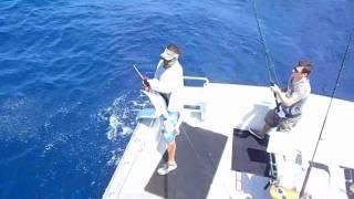 White Marlin Fishing on the "That's Right"