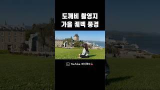 가을하면 퀘벡, 퀘벡하면 가을이지 #shorts