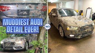 Deep Cleaning The Muddiest Audi A4 EVER! | Insane Satisfying DISASTER Detail Transformation!