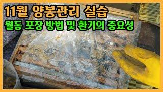 월동 포장 방법 및 환기의 중요성