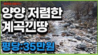 양양계곡낀땅#텃밭을 일구면서 여름엔 계곡에 발을 담그고,봄엔 산나물도 캐고,가을엔 단풍에 취해도 보면서~~~너~~무 행복할거 같아요.~^^