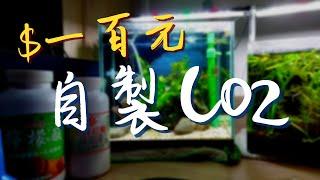 【岳來悅蝦】百元自製CO2 讓你擁有泡泡海不是夢!! ｜二氧化碳｜DIY｜米蝦｜養水草｜光合作用｜療癒型水族箱