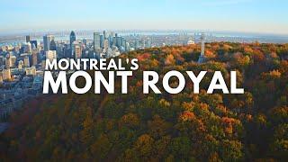 Montreal’s ‘Central Park’ Mountain That Gave The City Its Name