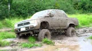 Toyota tough swampin