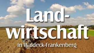 Landwirtschaft in Waldeck-Frankenberg