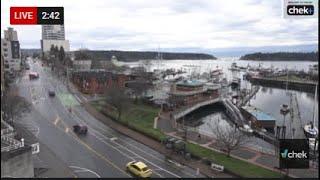 CHEK News | Nanaimo Harbour Cam 24/7 Livestream