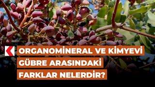 Organomineral ve kimyevi gübre arasındaki farklar nelerdir?