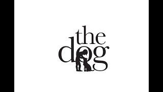 Teaser Trailer for the dog by david paul kirkpatrick & steven james taylor