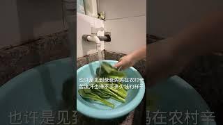 月薪过万的我在生活中的方方面面都会精打细算 剩下的钱都会存下来 #独居 #生活