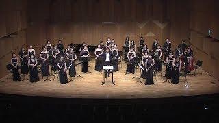 Henry Mancini "Baby Elephant Walk 아기 코끼리 걸음" - SEOUL ARS FLUTE ENSEMBLE(오경열 지휘)