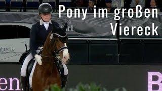 Kleines Pony im großen Viereck  | Corelli de Luxe & Victoria Rohrmuss | Stuttgart German Masters