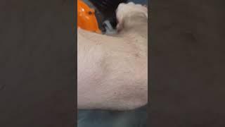 Install Yamaha Warrior Starter #atv #howto