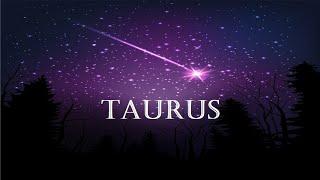 TAURUS: They Genuinely Love You Even if It's Hard to Tell 