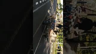 sapi... #shorts #trending #viral